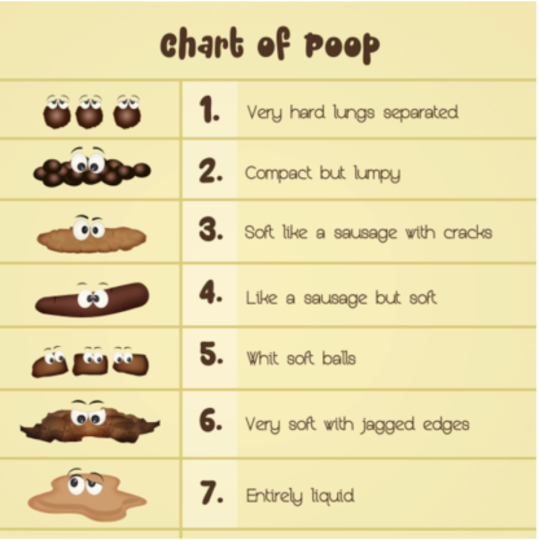 Chart of poop - shame of poop