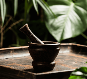 Mortar and pestle with plant in background